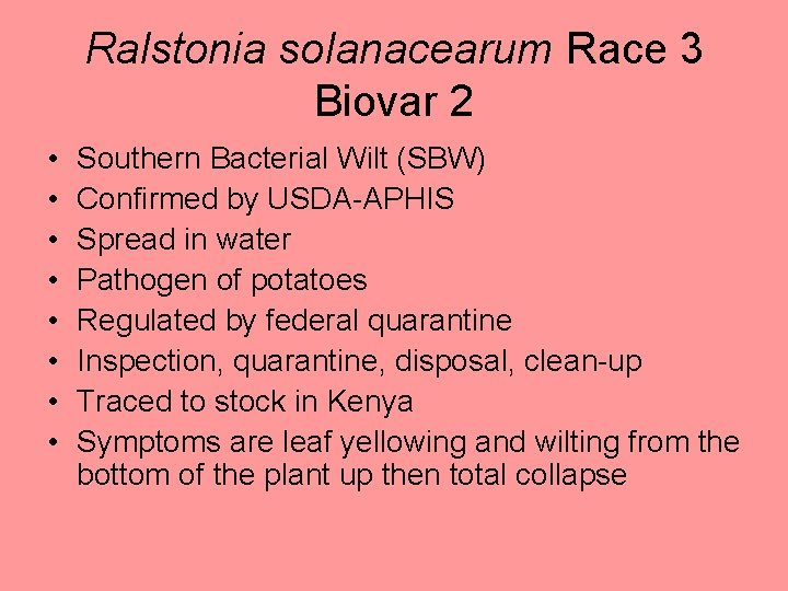 Ralstonia solanacearum Race 3 Biovar 2 • • Southern Bacterial Wilt (SBW) Confirmed by