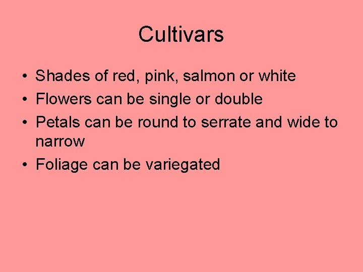 Cultivars • Shades of red, pink, salmon or white • Flowers can be single