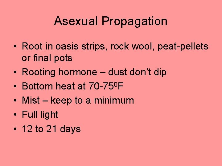 Asexual Propagation • Root in oasis strips, rock wool, peat-pellets or final pots •