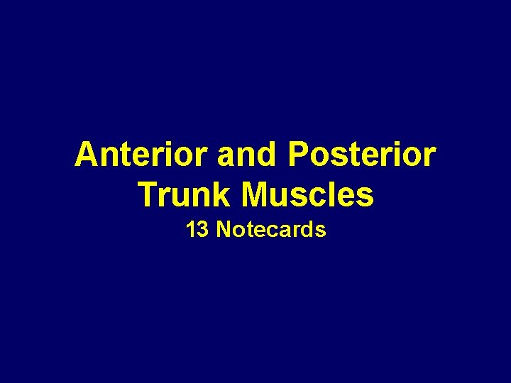 Anterior and Posterior Trunk Muscles 13 Notecards Anterior and Posterior Trunk Muscles 13 Notecards