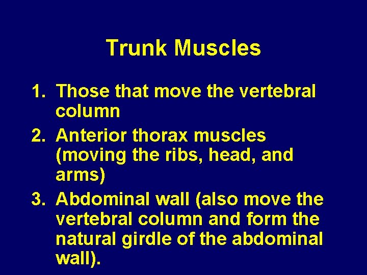 Trunk Muscles 1. Those that move the vertebral column 2. Anterior thorax muscles (moving