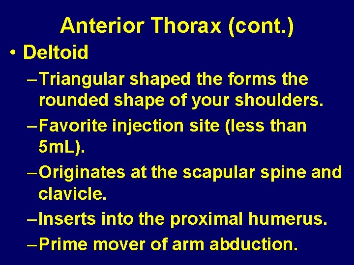 Anterior Thorax (cont. ) • Deltoid – Triangular shaped the forms the rounded shape