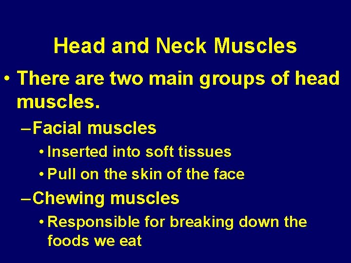 Head and Neck Muscles • There are two main groups of head muscles. – Head and Neck Muscles • There are two main groups of head muscles. –