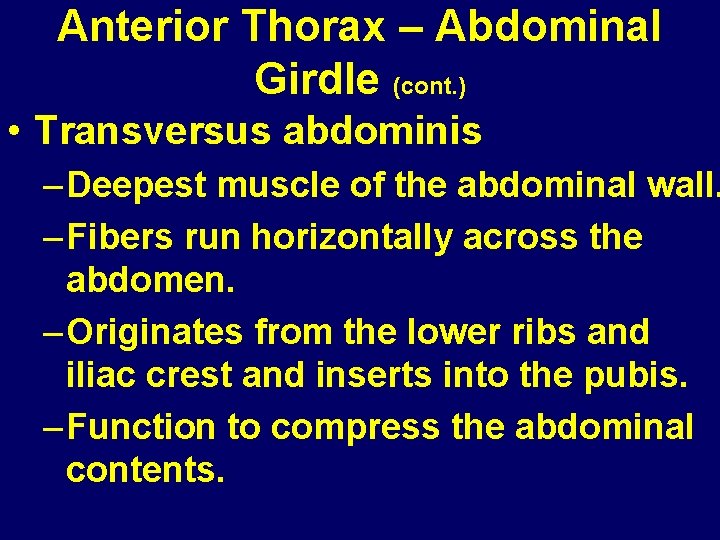 Anterior Thorax – Abdominal Girdle (cont. ) • Transversus abdominis – Deepest muscle of