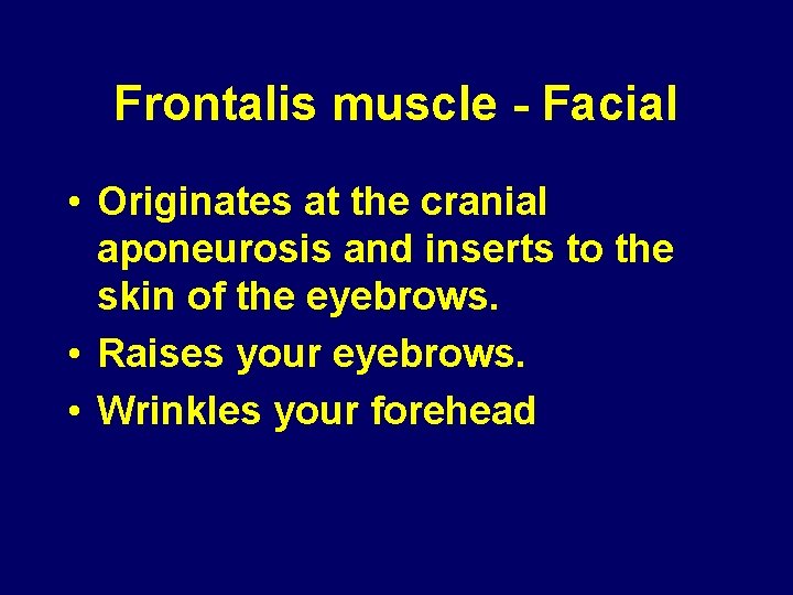 Frontalis muscle - Facial • Originates at the cranial aponeurosis and inserts to the