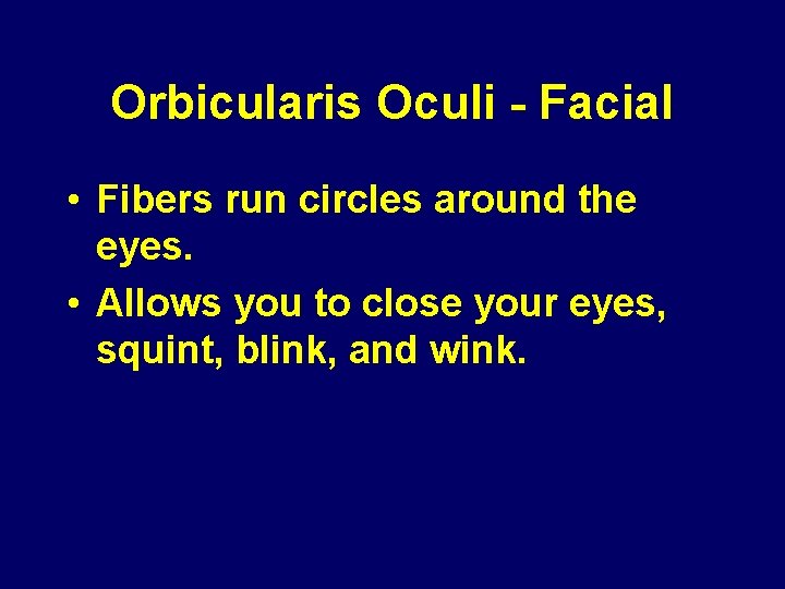 Orbicularis Oculi - Facial • Fibers run circles around the eyes. • Allows you Orbicularis Oculi - Facial • Fibers run circles around the eyes. • Allows you