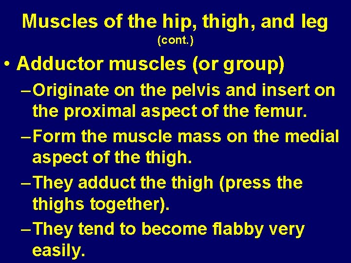 Muscles of the hip, thigh, and leg (cont. ) • Adductor muscles (or group) Muscles of the hip, thigh, and leg (cont. ) • Adductor muscles (or group)