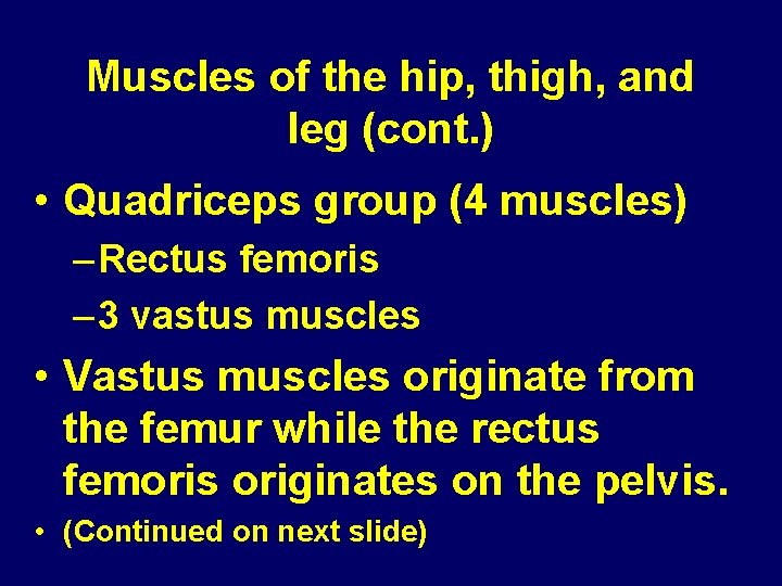 Muscles of the hip, thigh, and leg (cont. ) • Quadriceps group (4 muscles)