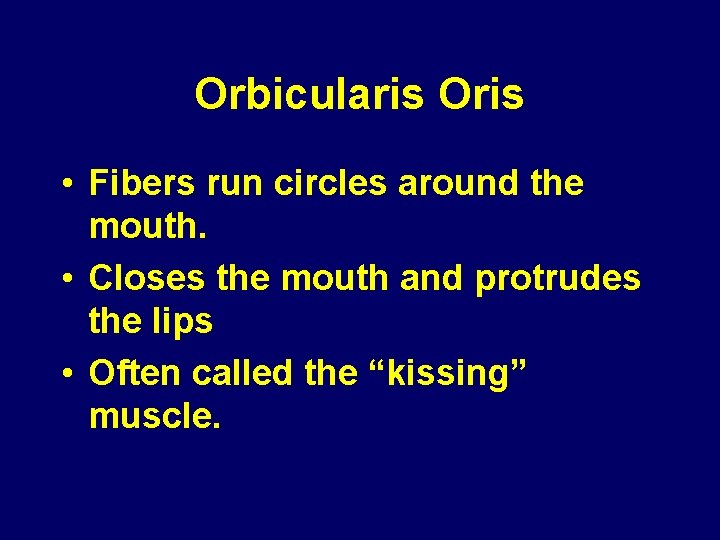 Orbicularis Oris • Fibers run circles around the mouth. • Closes the mouth and