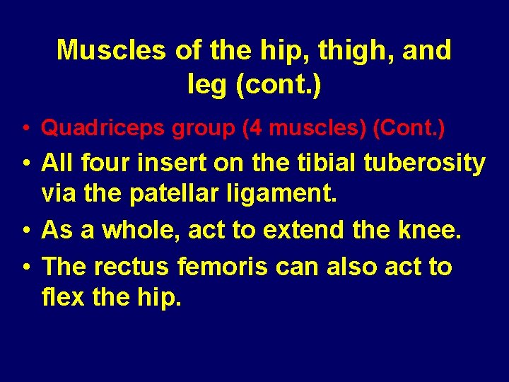 Muscles of the hip, thigh, and leg (cont. ) • Quadriceps group (4 muscles) Muscles of the hip, thigh, and leg (cont. ) • Quadriceps group (4 muscles)