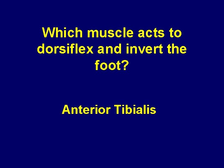 Which muscle acts to dorsiflex and invert the foot? Anterior Tibialis 