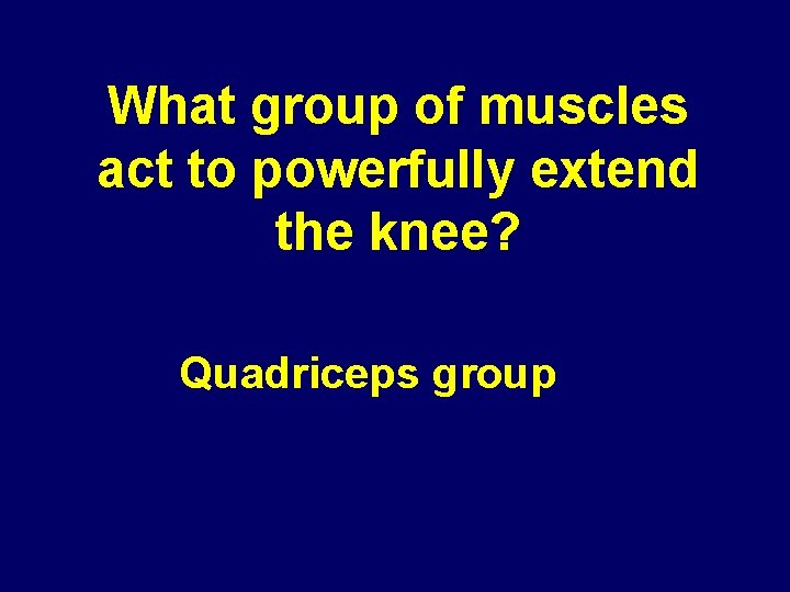 What group of muscles act to powerfully extend the knee? Quadriceps group 