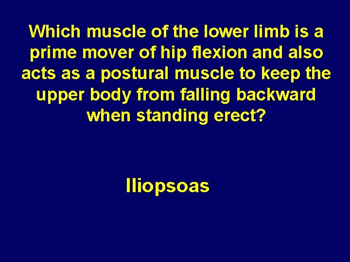 Which muscle of the lower limb is a prime mover of hip flexion and Which muscle of the lower limb is a prime mover of hip flexion and