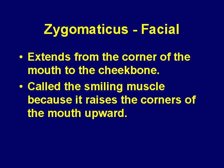 Zygomaticus - Facial • Extends from the corner of the mouth to the cheekbone.