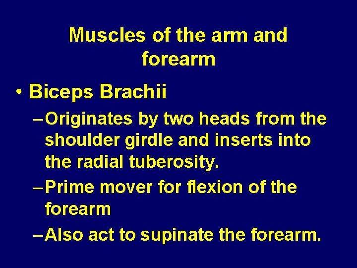 Muscles of the arm and forearm • Biceps Brachii – Originates by two heads