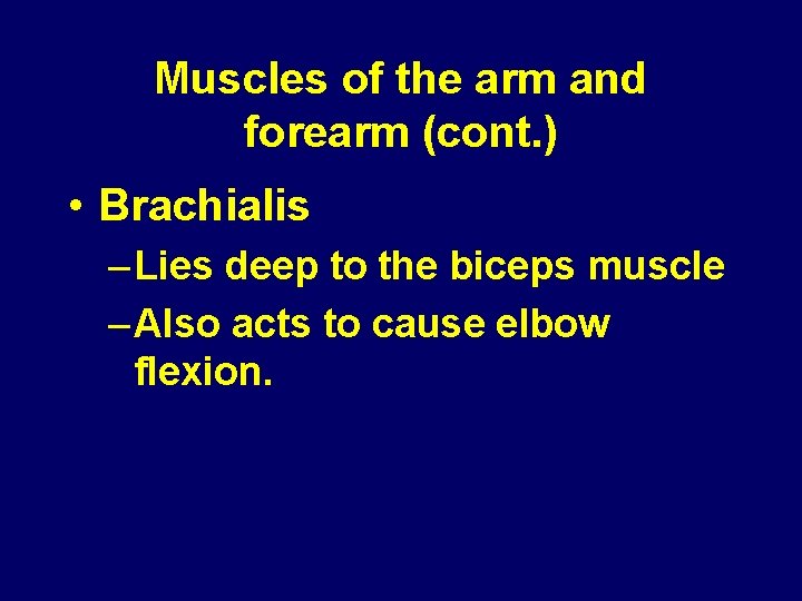 Muscles of the arm and forearm (cont. ) • Brachialis – Lies deep to