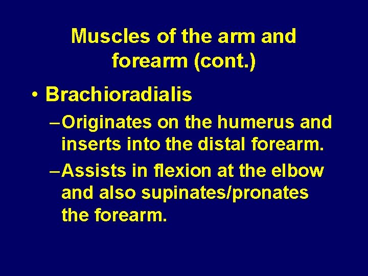Muscles of the arm and forearm (cont. ) • Brachioradialis – Originates on the