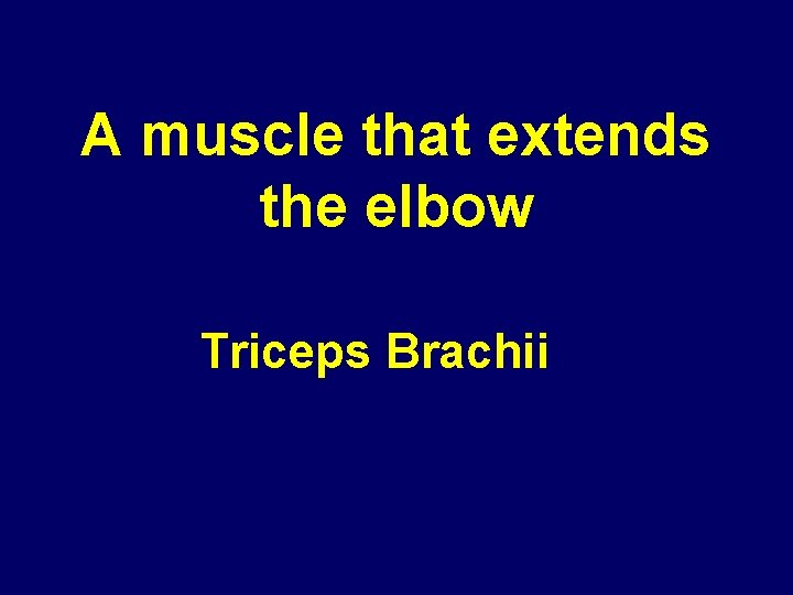 A muscle that extends the elbow Triceps Brachii A muscle that extends the elbow Triceps Brachii