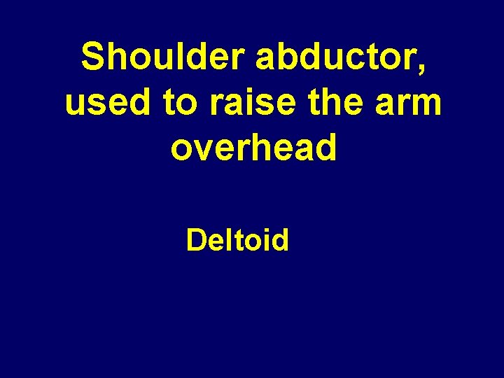 Shoulder abductor, used to raise the arm overhead Deltoid 