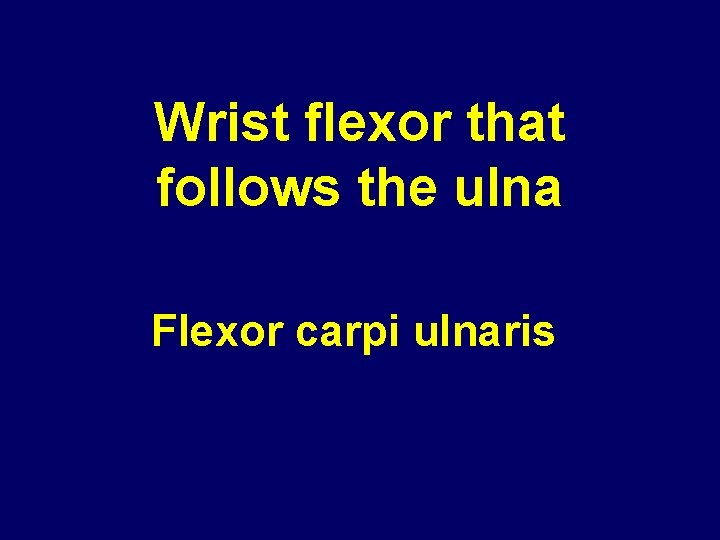 Wrist flexor that follows the ulna Flexor carpi ulnaris 