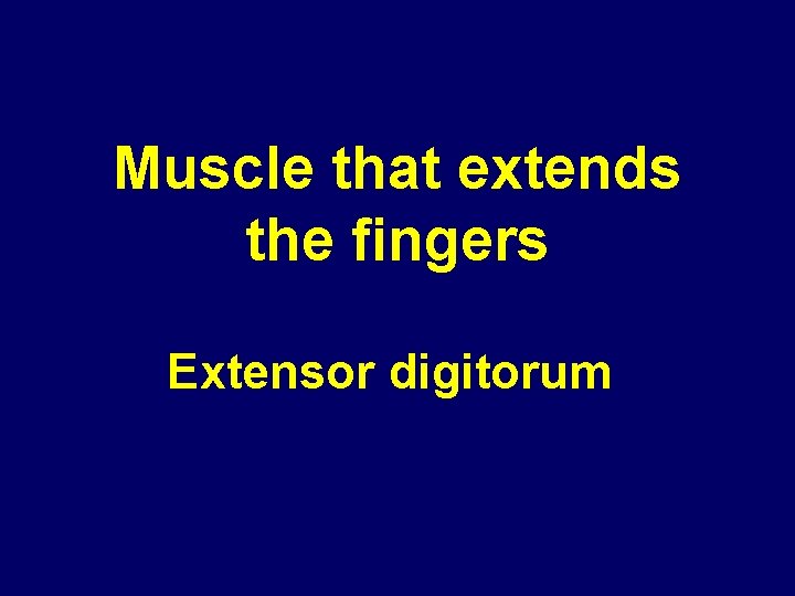 Muscle that extends the fingers Extensor digitorum 