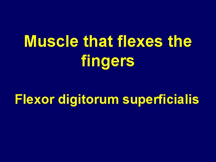 Muscle that flexes the fingers Flexor digitorum superficialis 