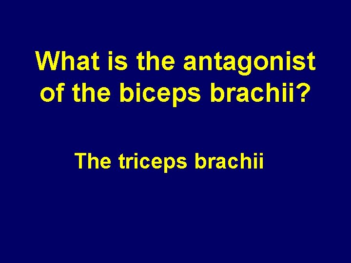 What is the antagonist of the biceps brachii? The triceps brachii 