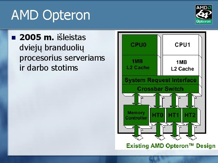 AMD Opteron n 2005 m. išleistas dviejų branduolių procesorius serveriams ir darbo stotims 