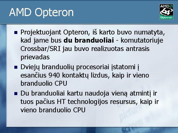 AMD Opteron n Projektuojant Opteron, iš karto buvo numatyta, kad jame bus du branduoliai