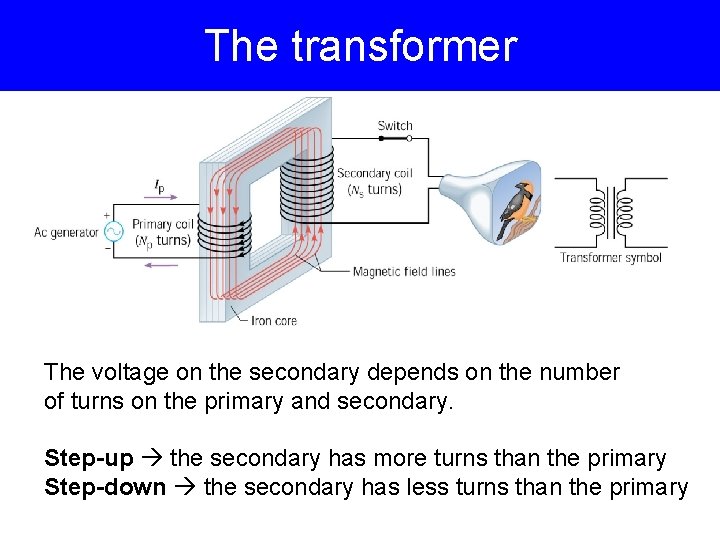 The transformer The voltage on the secondary depends on the number of turns on