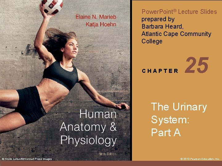 Power. Point® Lecture Slides prepared by Barbara Heard, Atlantic Cape Community College CHAPTER 25
