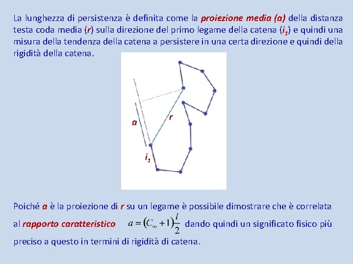 La lunghezza di persistenza è definita come la proiezione media (a) della distanza testa