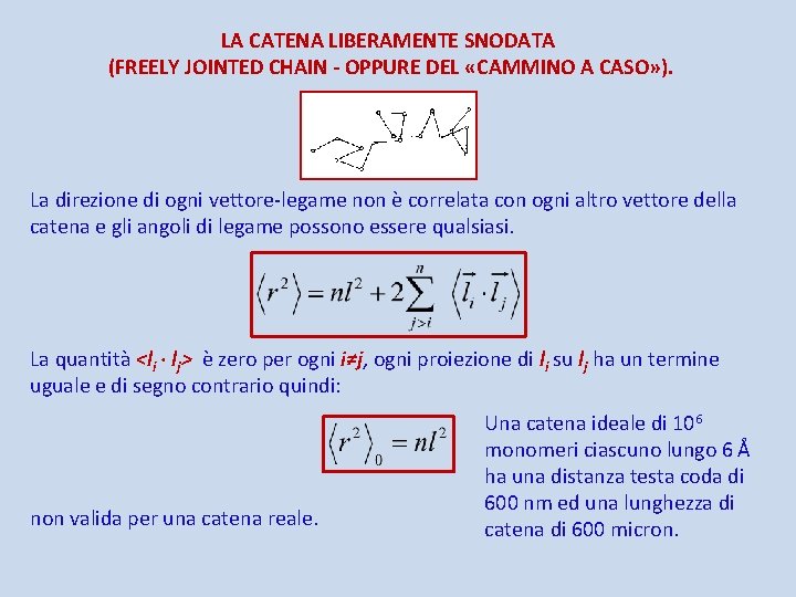 LA CATENA LIBERAMENTE SNODATA (FREELY JOINTED CHAIN - OPPURE DEL «CAMMINO A CASO» ).