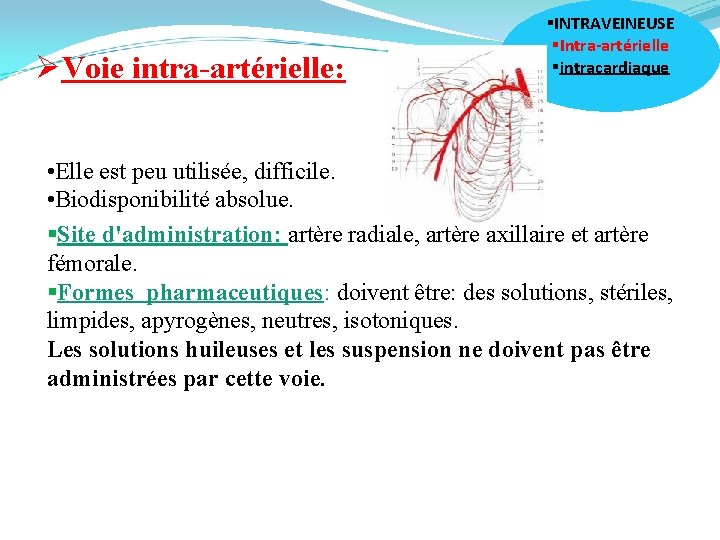 ØVoie intra-artérielle: §INTRAVEINEUSE §Intra-artérielle §intracardiaque • Elle est peu utilisée, difficile. • Biodisponibilité absolue.