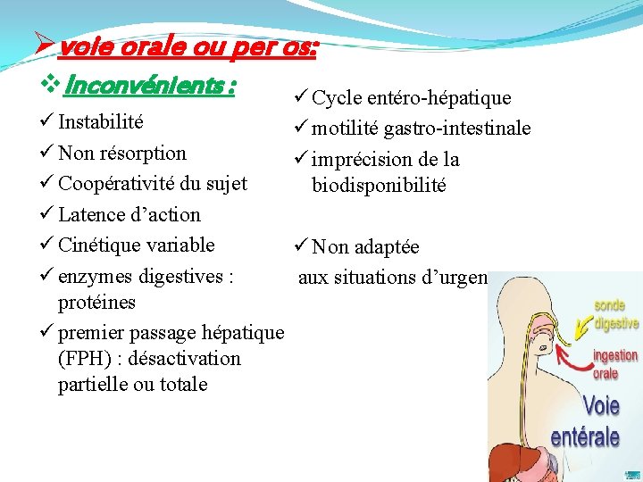 Øvoie orale ou per os: v. Inconvénients : ü Cycle entéro-hépatique ü motilité gastro-intestinale