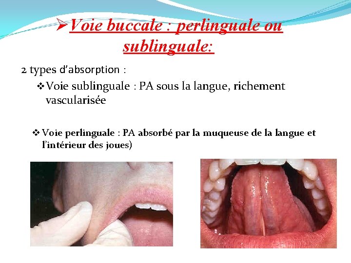 ØVoie buccale : perlinguale ou sublinguale: 2 types d’absorption : v Voie sublinguale :
