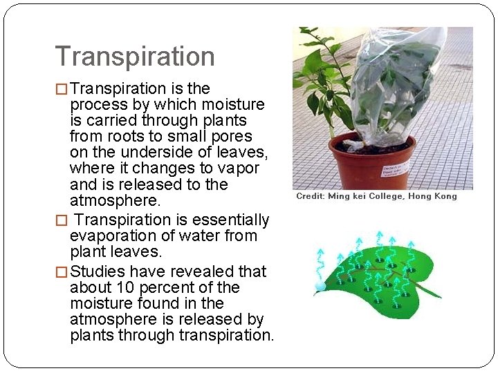 Transpiration � Transpiration is the process by which moisture is carried through plants from