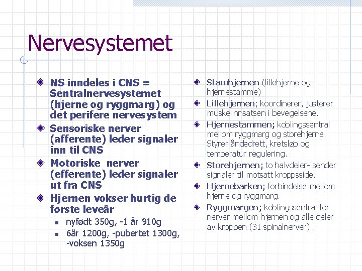 Nervesystemet NS inndeles i CNS = Sentralnervesystemet (hjerne og ryggmarg) og det perifere nervesystem