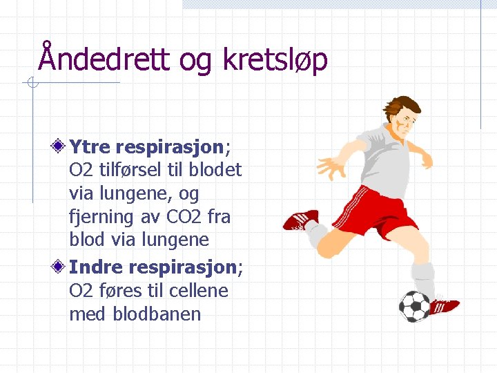 Åndedrett og kretsløp Ytre respirasjon; O 2 tilførsel til blodet via lungene, og fjerning