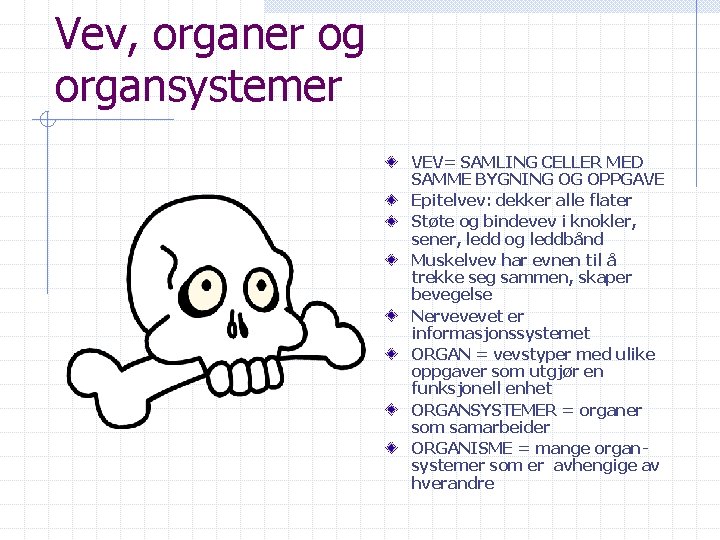 Vev, organer og organsystemer VEV= SAMLING CELLER MED SAMME BYGNING OG OPPGAVE Epitelvev: dekker