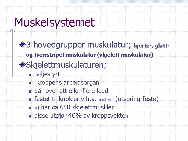 Muskelsystemet 3 hovedgrupper muskulatur; hjerte-, glatt- og tverrstripet muskulatur (skjelett muskulatur) Skjelettmuskulaturen; n n