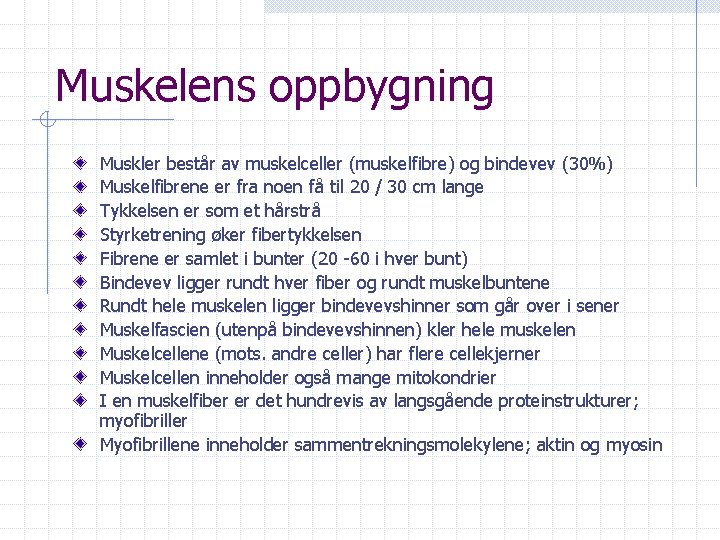 Muskelens oppbygning Muskler består av muskelceller (muskelfibre) og bindevev (30%) Muskelfibrene er fra noen