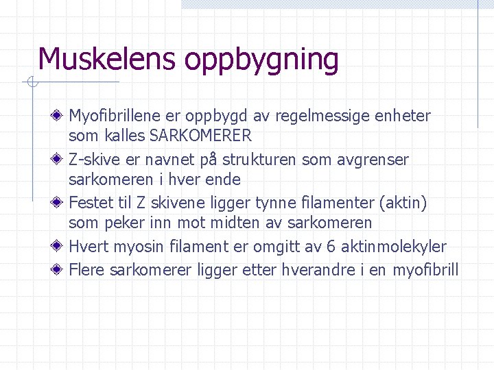 Muskelens oppbygning Myofibrillene er oppbygd av regelmessige enheter som kalles SARKOMERER Z-skive er navnet