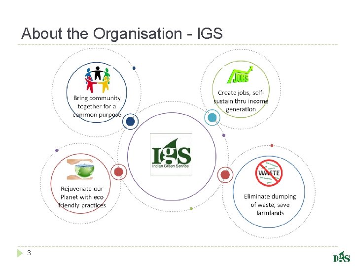 About the Organisation - IGS 3 