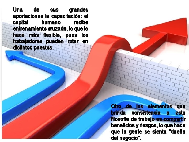 Una de sus grandes aportaciones la capacitación: el capital humano recibe entrenamiento cruzado, lo