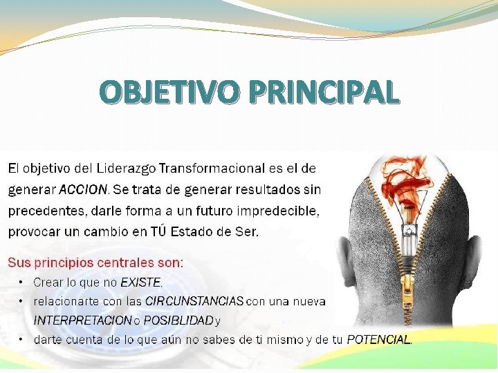 OBJETIVO PRINCIPAL 