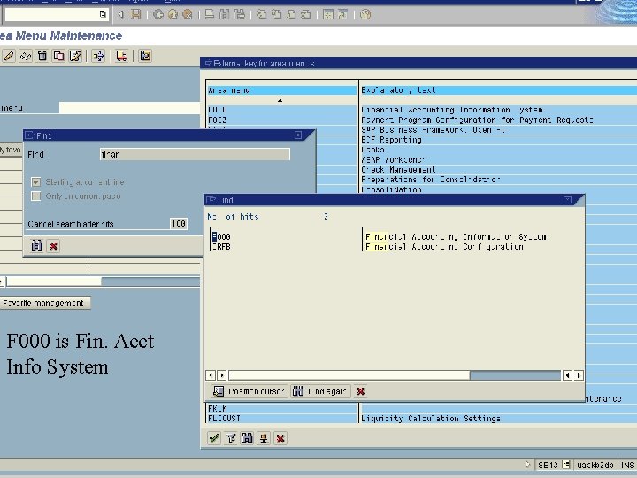F 000 is Fin. Acct Info System 