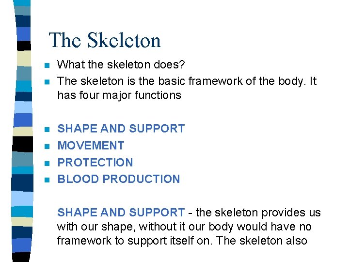 The Skeleton n n n What the skeleton does? The skeleton is the basic