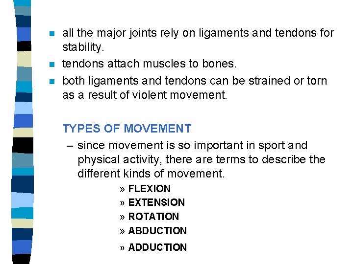n n n all the major joints rely on ligaments and tendons for stability.
