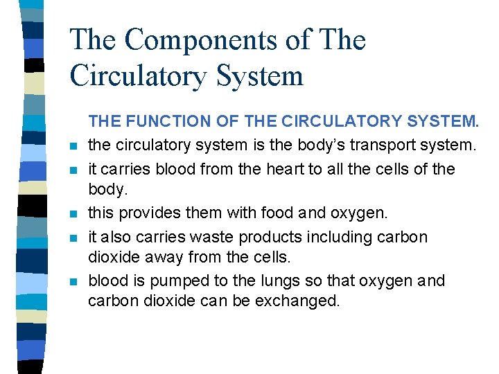 The Components of The Circulatory System n n n THE FUNCTION OF THE CIRCULATORY